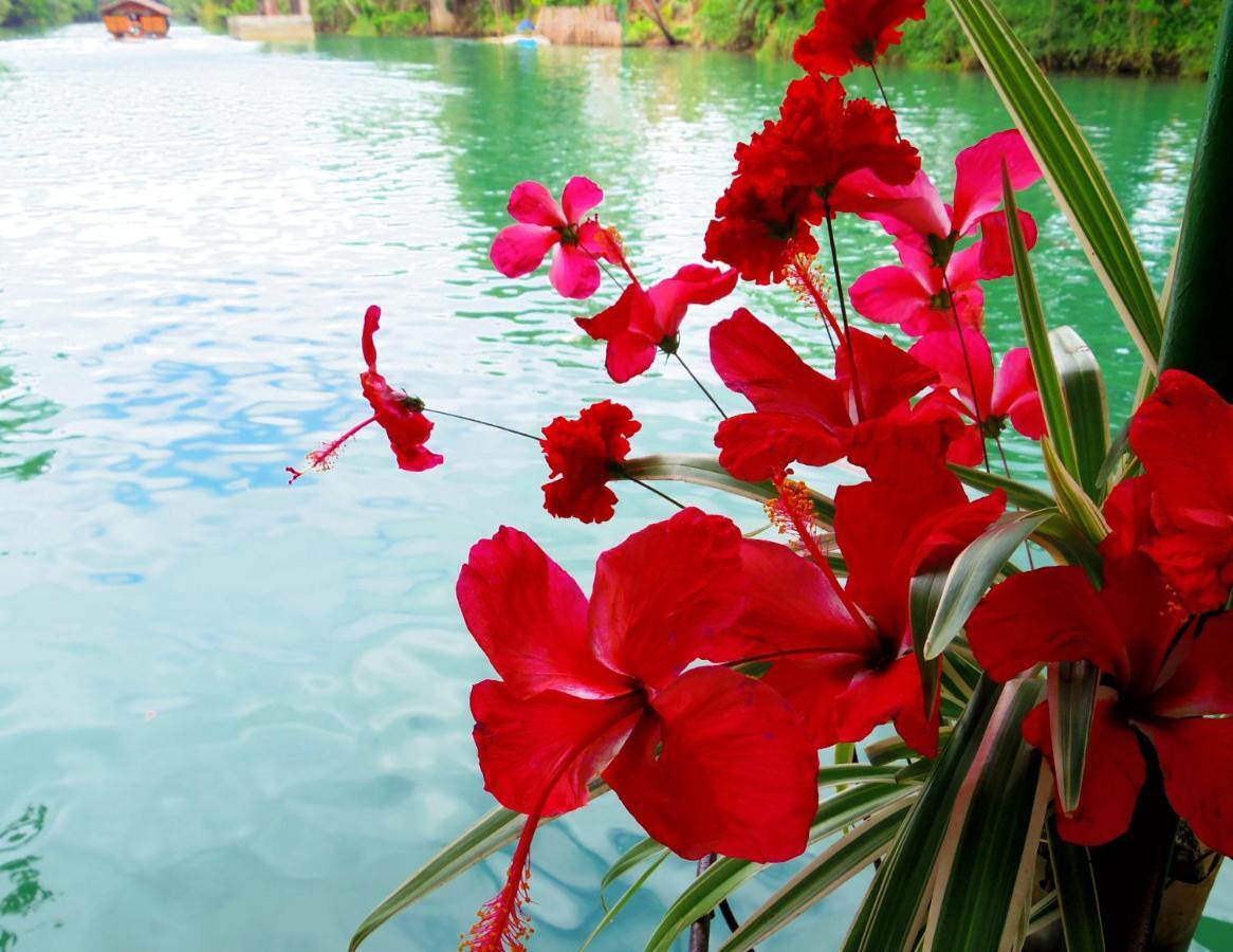 Chiisai Natsu Resort Bohol Esterno foto