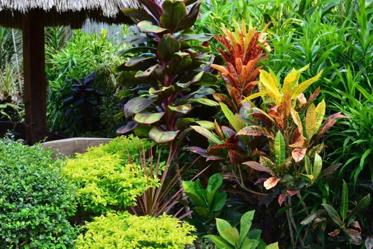 Chiisai Natsu Resort Bohol Esterno foto